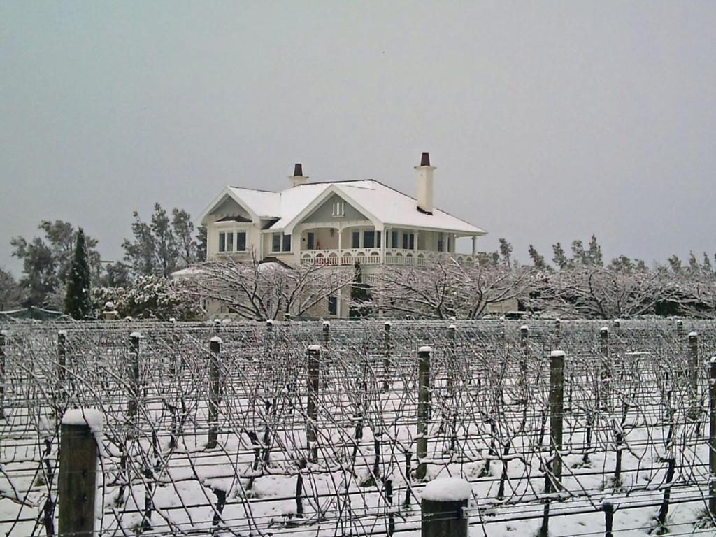Affittacamere Vynfields Martinborough Esterno foto